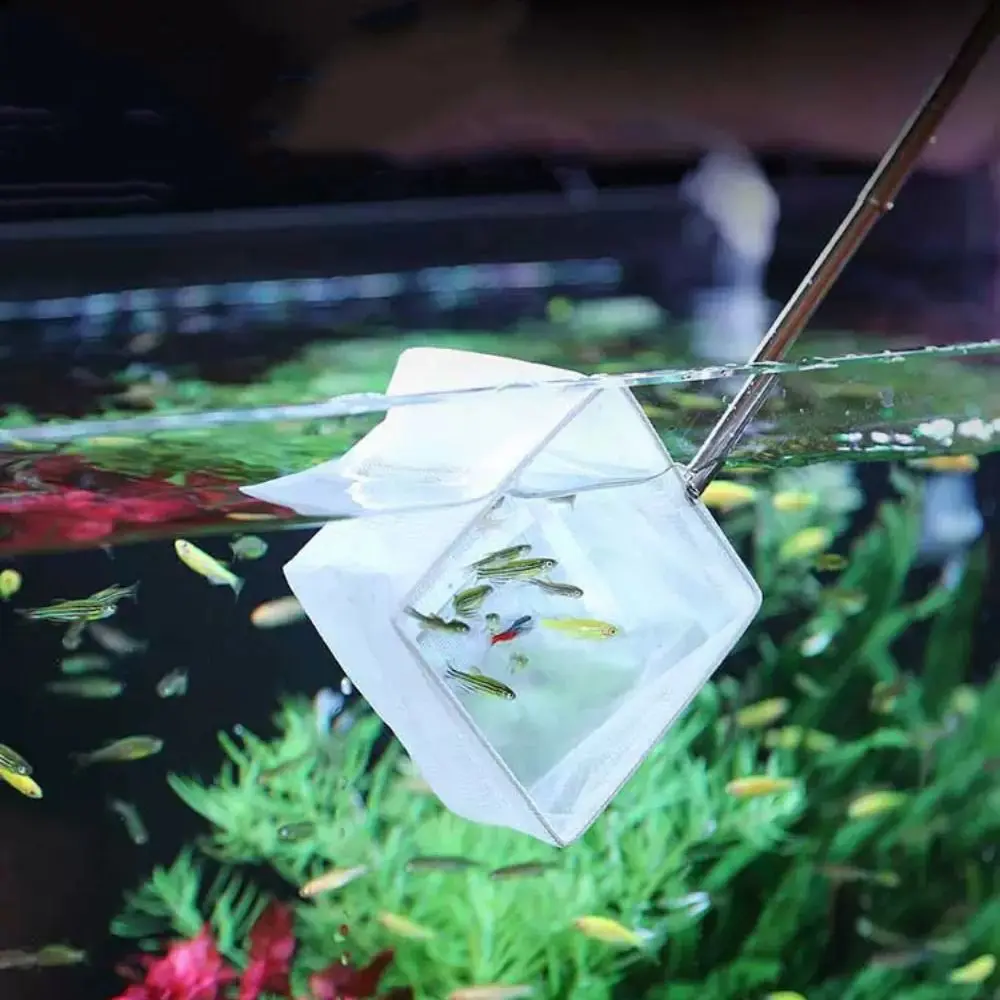 Shop1102981138 Store