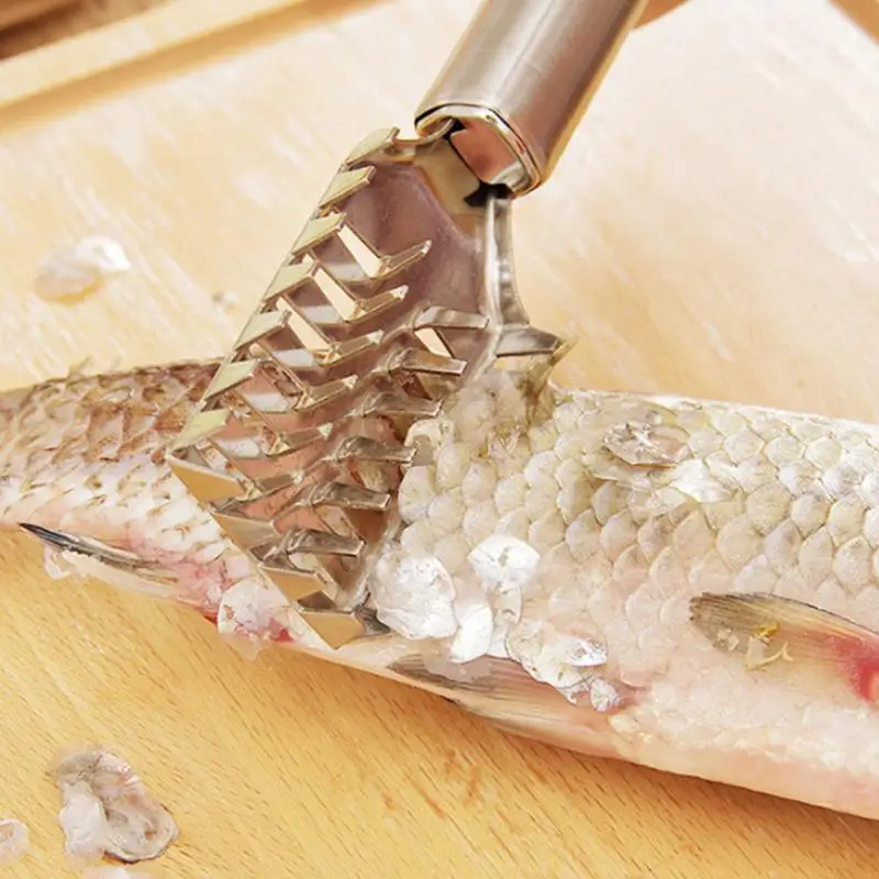 

2 Pcs Stainless Steel Fish Skin Brush Scraping Fishing Scale Brush Graters Fast Remove Fish Cleaning Peeler Scalers Dropship