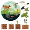 Simulation Animal Life Cycle Children Montessori Toys Insect Plant Growth Cycle Model Biology Science Educational Teaching Aids 1