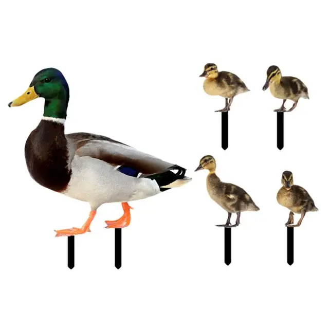 1 Élethű Új, Erős Akril Prémium Udvari Kacsa Tét Dekoráció Művészeti Kert Kültéri Dekorációk - Image 5