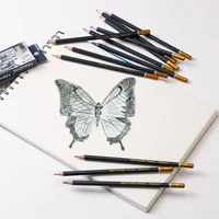 12Pcs Professional Sketch Charcoal Pencils Set F/H/2H/HB/B/2B/3B/4B/5B/6B/7B/8B Writing Graphite Drawing Pencils Art Supplies 5