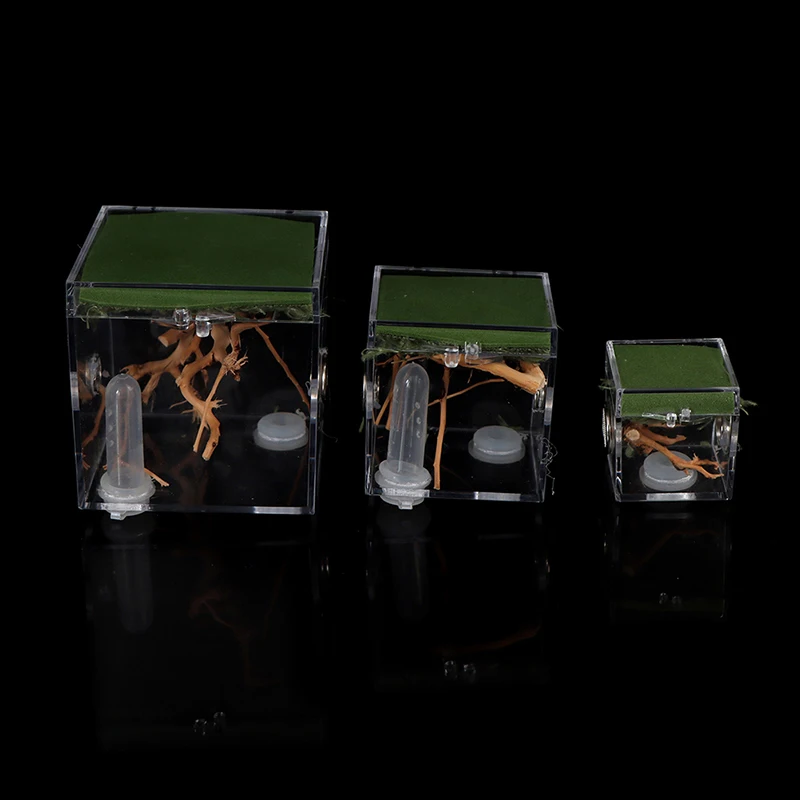Spider Transparent Reptile Breeding Box