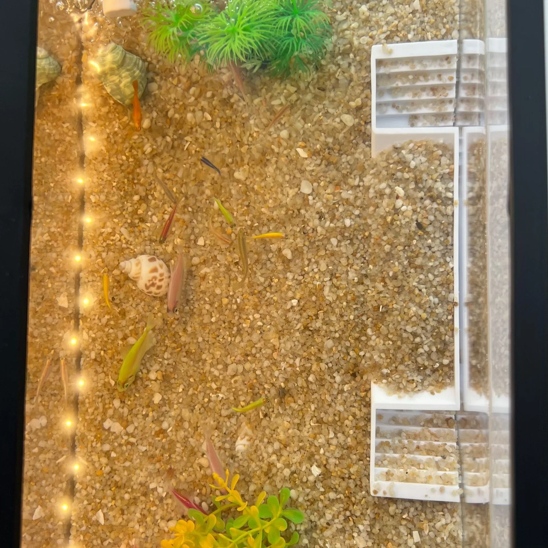 Aquarium-Verstecke, Unterschlupf, unterirdische Höhle, abgestufter Tunnel für Fisch, Garnelen, Krabben, Spielen, Zucht, Laich, Aquarium-Dekoration – Detail 10