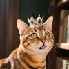 Pet Crown Headband Round Royal King Queen Crown Costume Hat for Cats & Small Dogs Birthday Party Festival Dress Up Photo Props 2