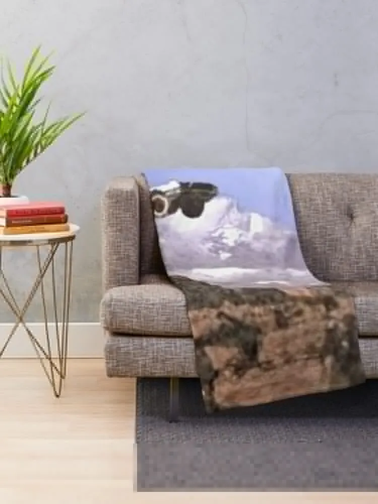 �� ���� ��� ���� ���, ���� ������ ���