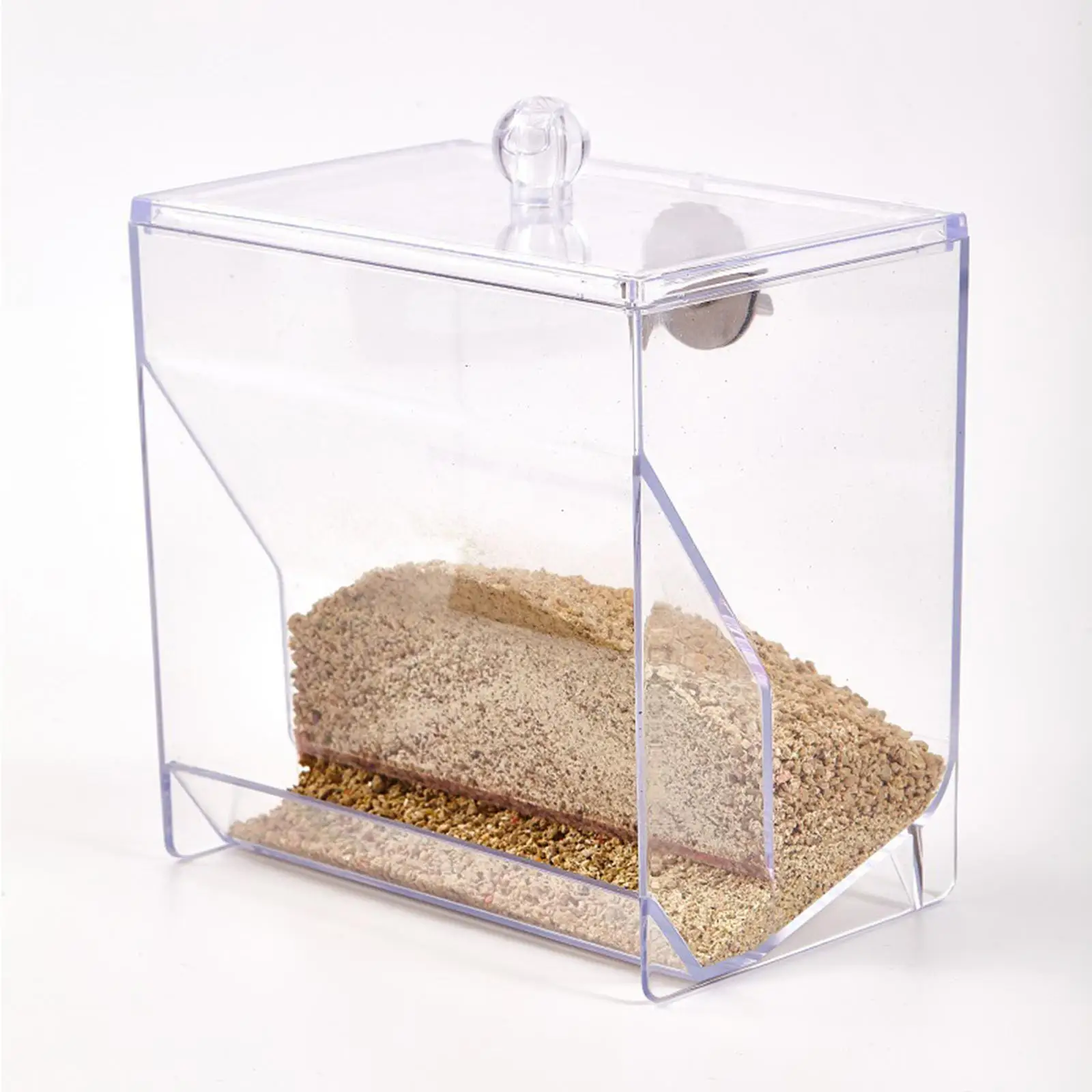 Automatic Bird Feeder Cage Foods Container Portable Clear Bird Feeder for Cockatiels Parrots Canaries Cage Accessories Budgies