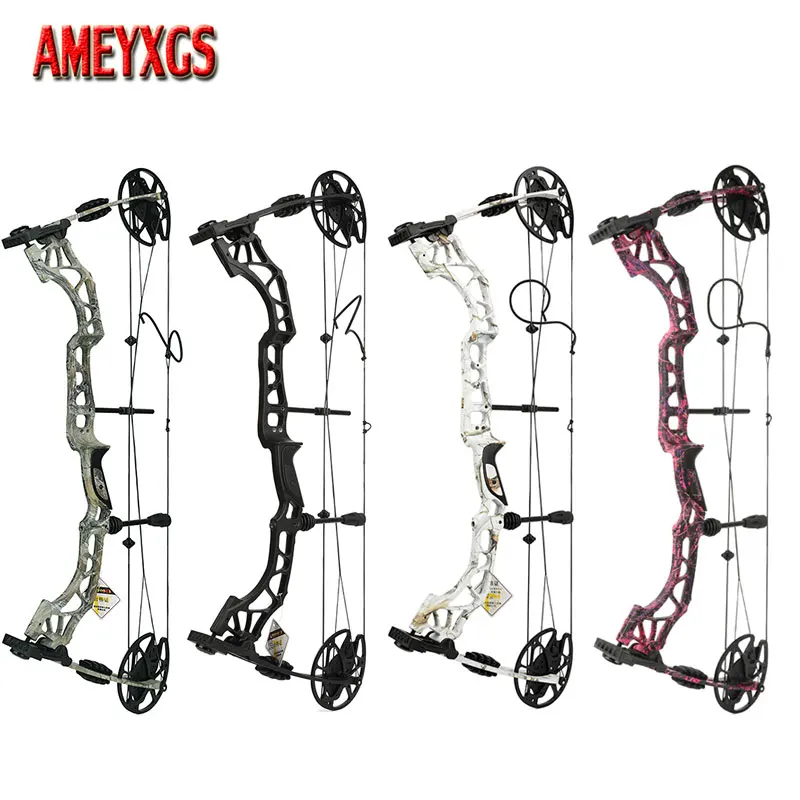 Compound Bow 1