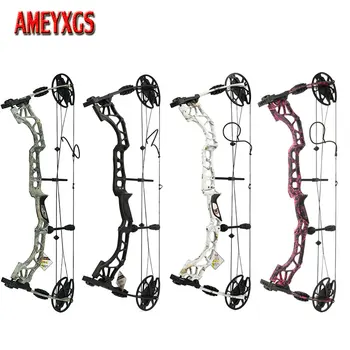 Compound Bow 1