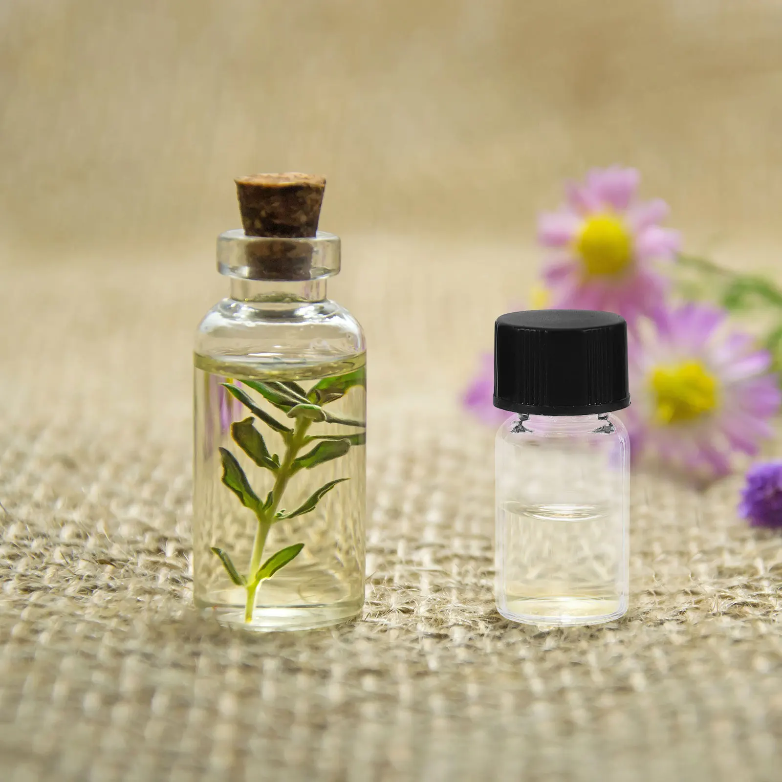 10 Pcs Clear Glass Vials Small Liquid Vial For Samples Leak Proof With Screw Caps Laboratory Bottle Storage Container