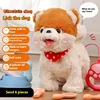 Children'S Gift Plush Toy Licking Dog Intelligent Repeating Machine Dog Simulation Can Walk Walk And Bark Electronic Dog Toy 2
