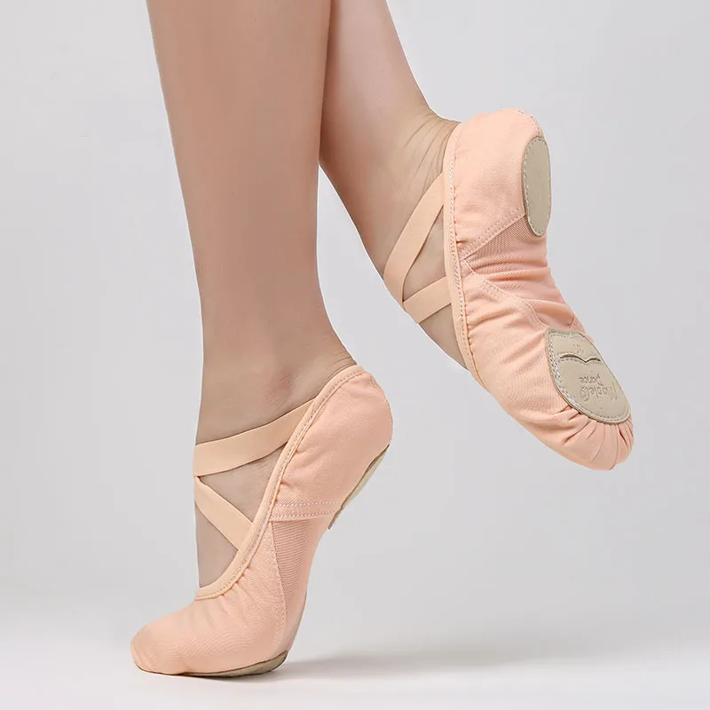 roddel Vervloekt Met pensioen gaan Ballet Schoenen Voor Meisjes Dans Schoen Kids Flats Dubbele Schoen Kant  Stretch Stof Midlle Mesh Vrouwen Ballerina Elastische  Dansschoenen|Dansschoenen| - AliExpress