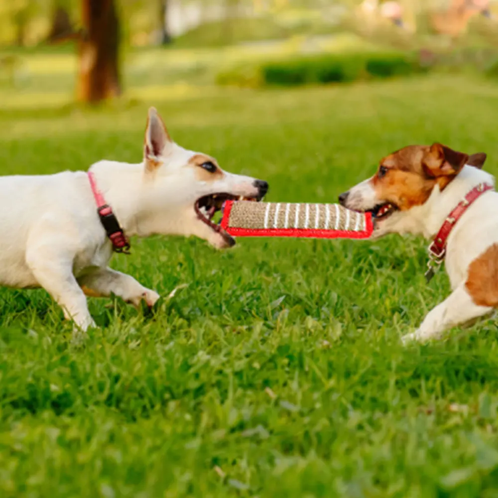 Dog Training Products, Jaoseko Dog Bite Rods, Grinding Teeth, Stick, Biting Target Pet Supplies, Stick Dog Toys 3