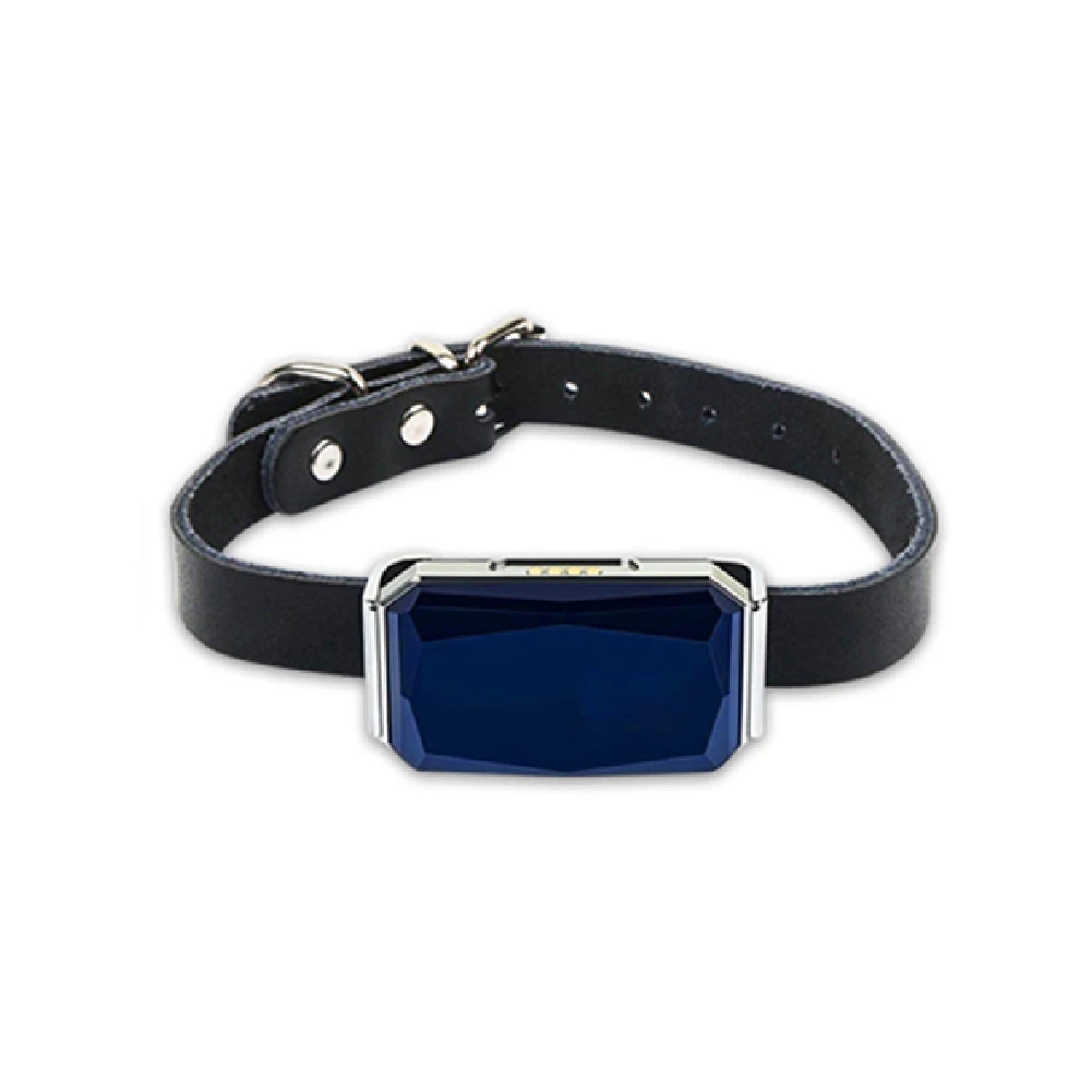 G12 Pet Locator GPS Wearable Smart Collar Pet Tracking Locator Waterproof IP67 Anti-lost Record Multifunctional for Kids Elderly
