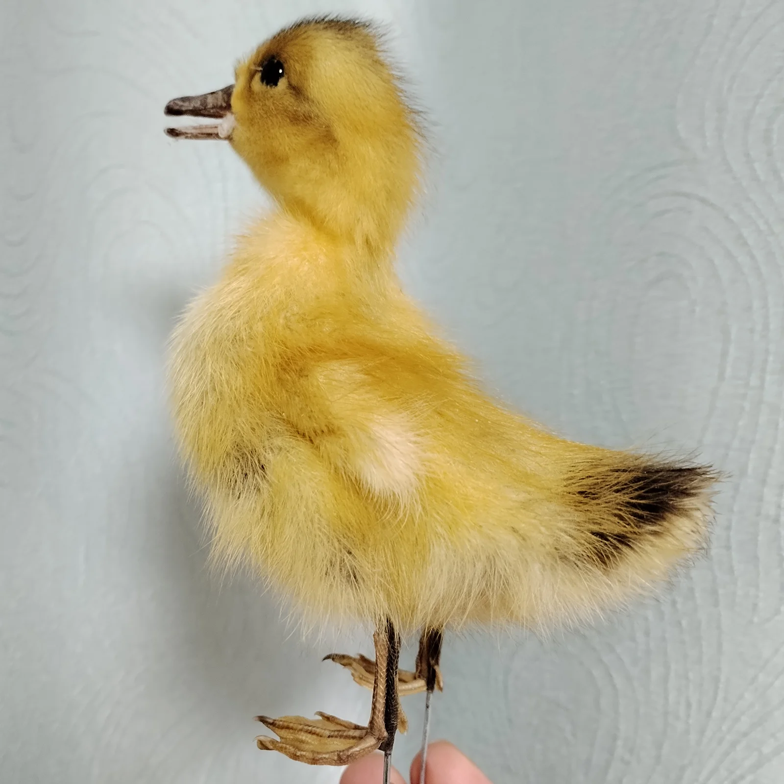 Miniature Duck Figurines Stuffed Duckling Specimen Yellow Duck Birds Taxidermy Home Decor-Perfect for Collecting, Special Gifts