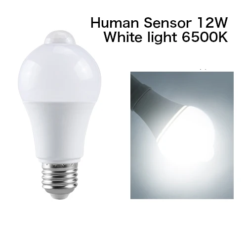 Human Sensor 12W