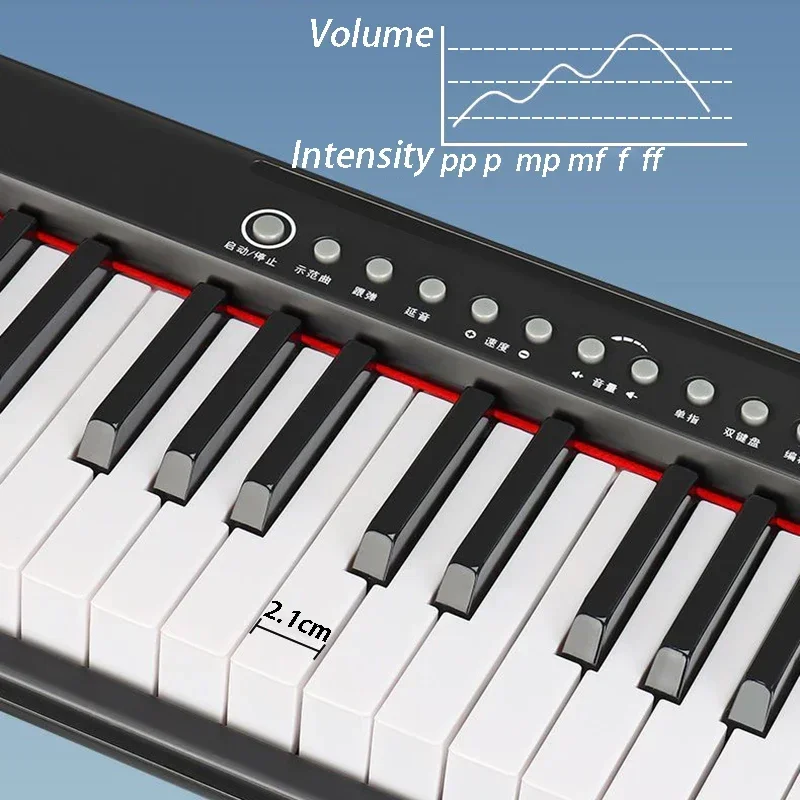 61 Key Electronic Organ Portable Children Adults Beginner Electronic Piano Professional Intelligent Keyboard Instruments