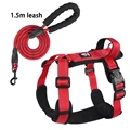 Red with leash