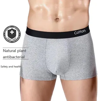 남성 스포츠 코튼 박스 속옷 팬츠 반바지 블랙 그레이 L XL XXL 3XL 순수 컬러 통기성 패션 피츠 스포츠