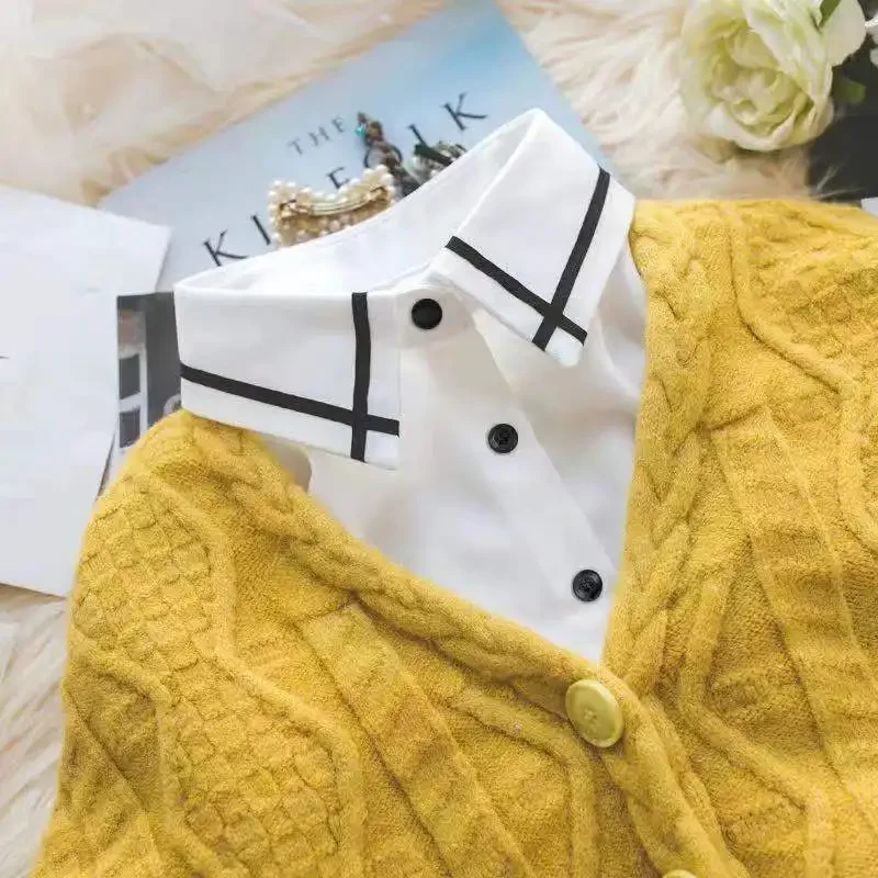 2024 Anti Wrinkle Double-Layer Fake Collar For Shirt Detachable Collars Solid Shirt Lapel Blouse Top Women White Girls Clothes