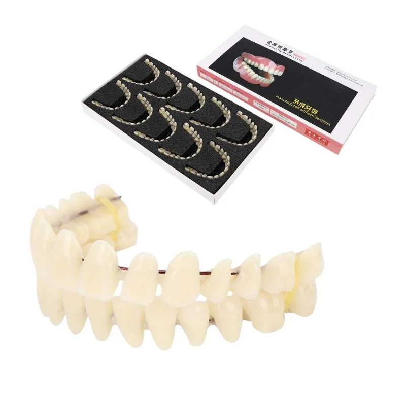 

10pcs Dental Artificial Teeth Training Models Resin Denture Upper Lower Teeth Preformed dentists Teaching Models Pack of 10