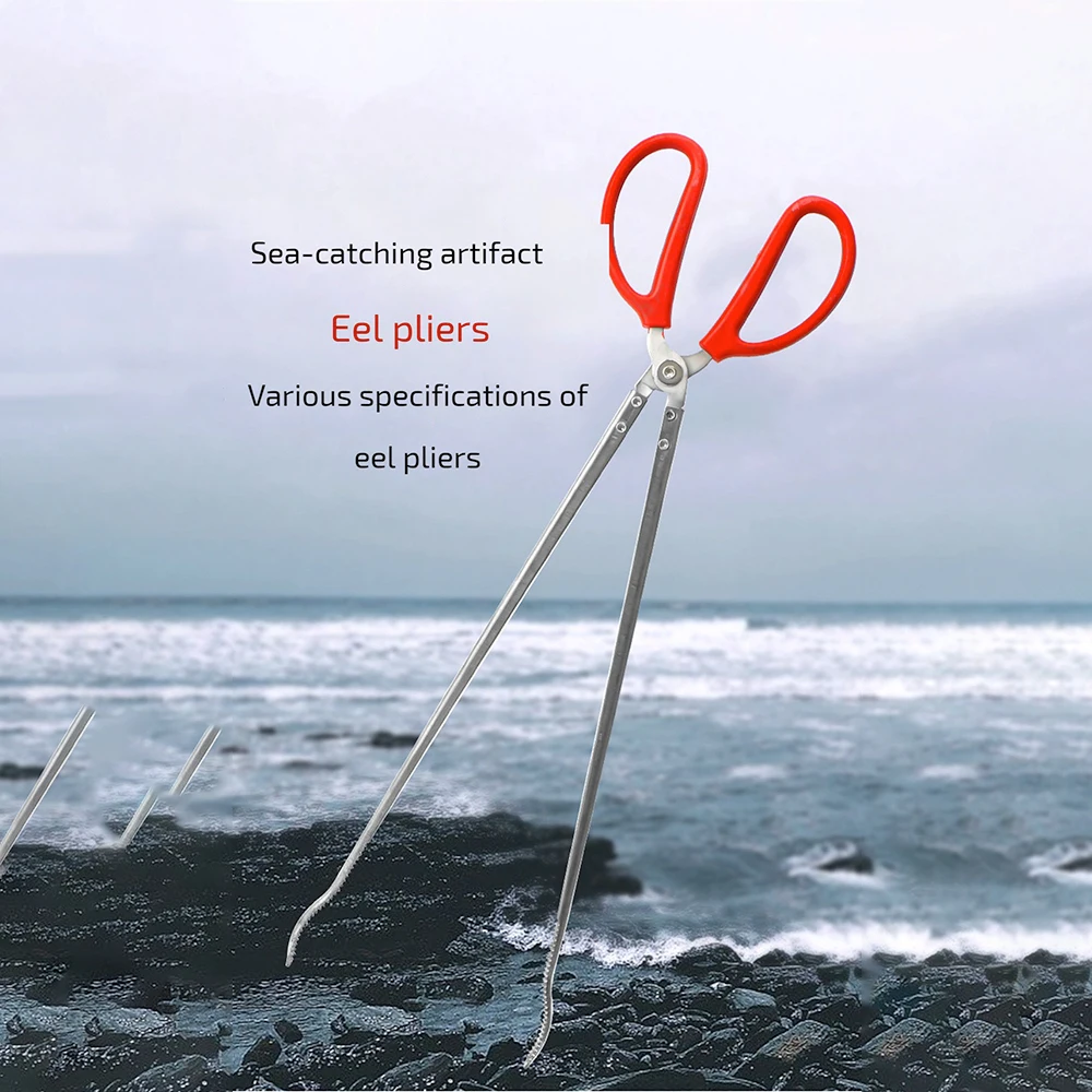 Slide image 4d771611fedd44f3b58c576a044f3ba4