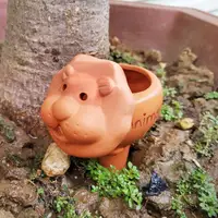 Ceramic Automatic Water Seepage Device Dripper Home Garden Flower Plants Lazy Watering Drip Device Garden Supplies 2