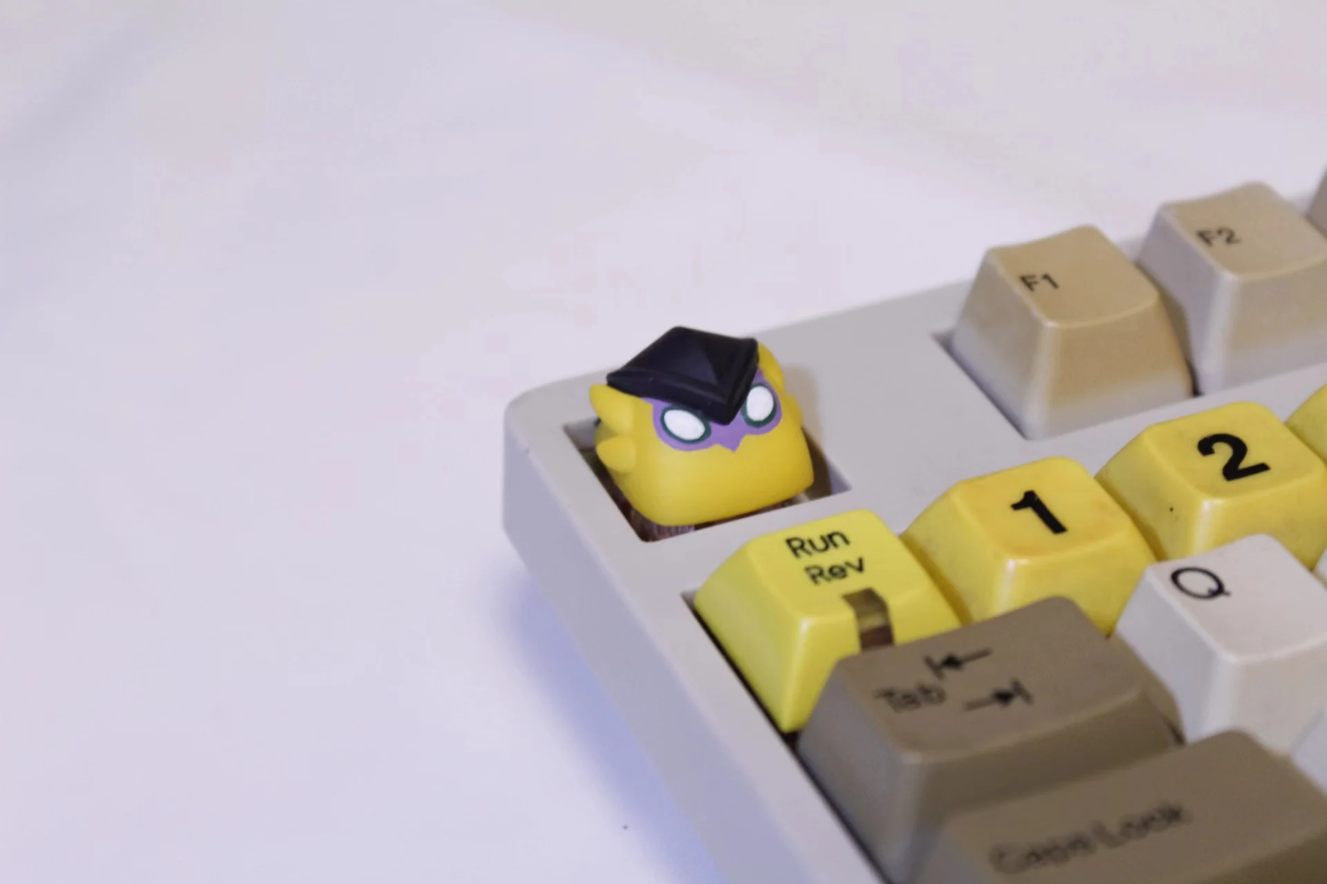 Computers e Electronics