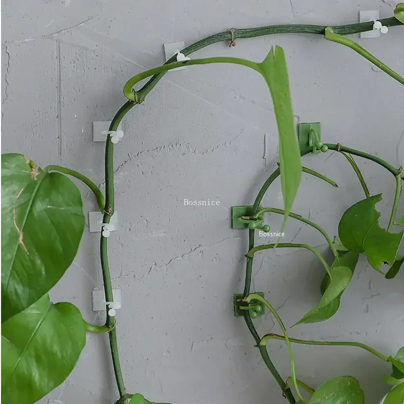 Plant Climbing Wall Clips 20Pcs Self-Adhesive