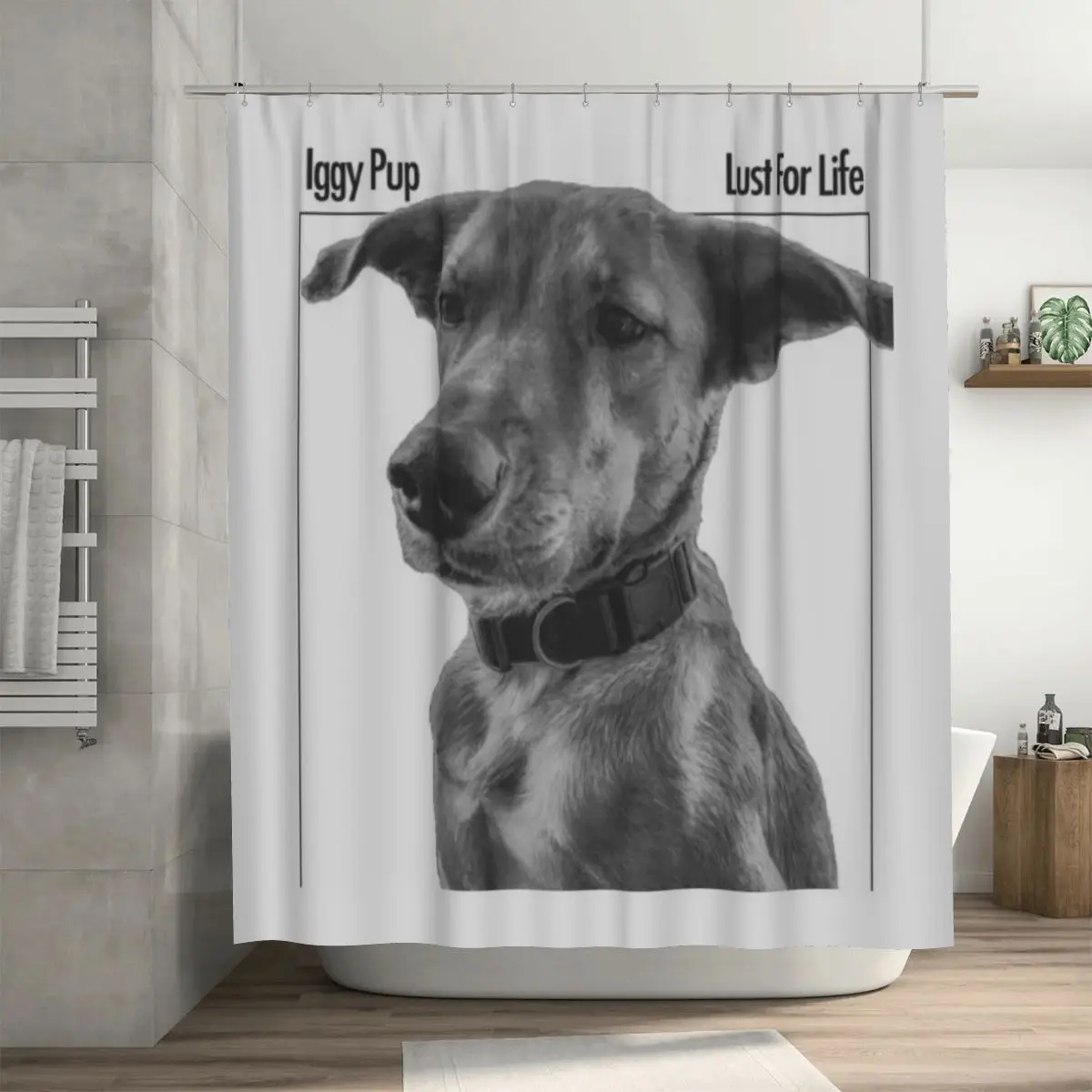 

Душевая занавеска Iggy Pup Lust For Life, 72x72 дюйма с крючками, узор «сделай сам», защита конфиденциальности