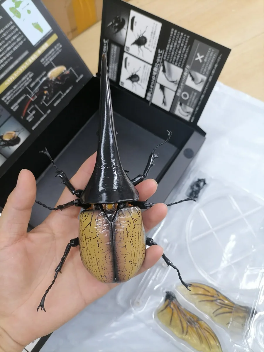 Assembled Hercules Beetles Model Toy Simulated Alive Multijoint