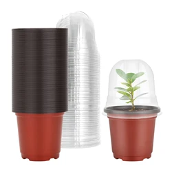 Versatile Seed Starter Kit: 40 Soft Nursery Pots with Humidity Domes (AE1913)