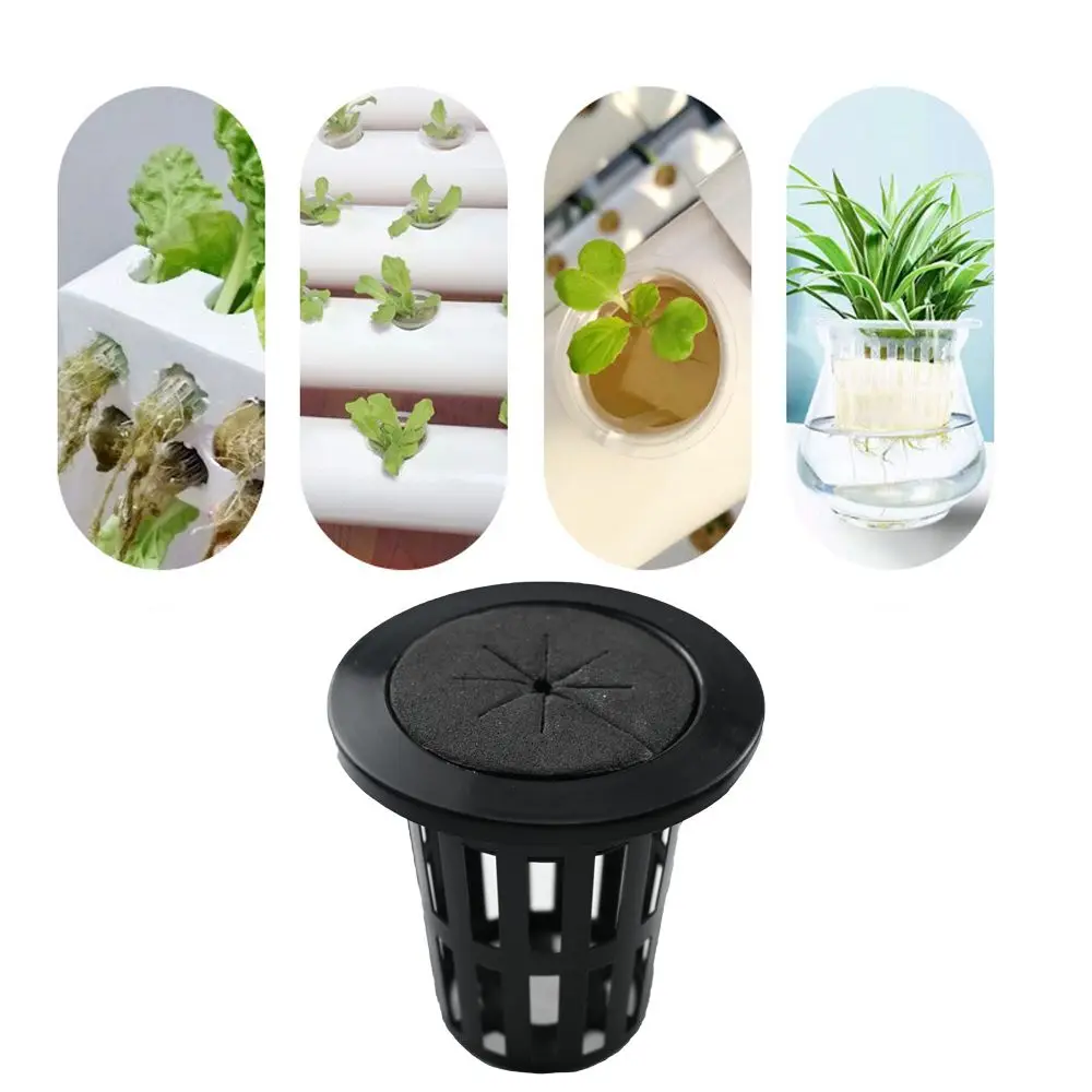 Bakset Per Piantare Idroponica Nera Con Collari In Neoprene Di Cotone Per Sistema Idroponico Forniture Per Piantare Radici Da Giardino 15 Pezzi