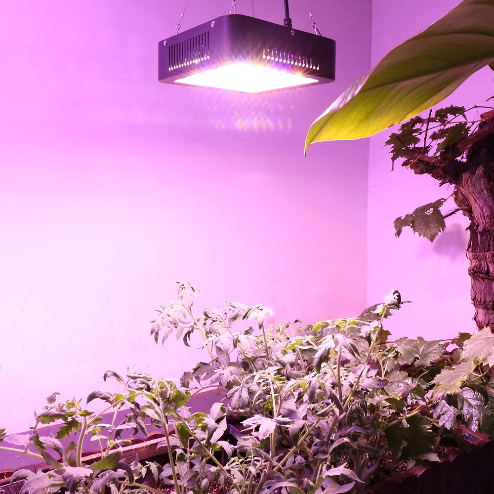 600W LED Grow Light Full Spectrum Plant Growth Lamp Dual Chip Phytolamp