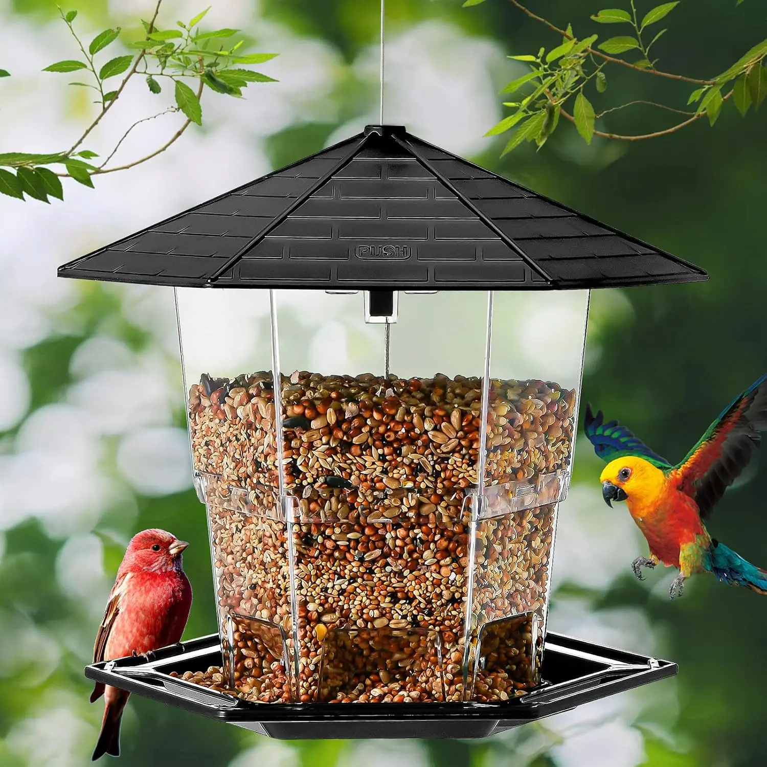 Retractable Hanging Bird Feeder 2