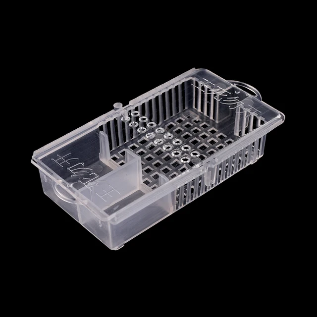 100Db Méhészeti Szállítási Ketrecek Fehér Méhek Queen Poszt Ketrec Királyi Fogoly Méh Apikulturális Eszközök - Image 4