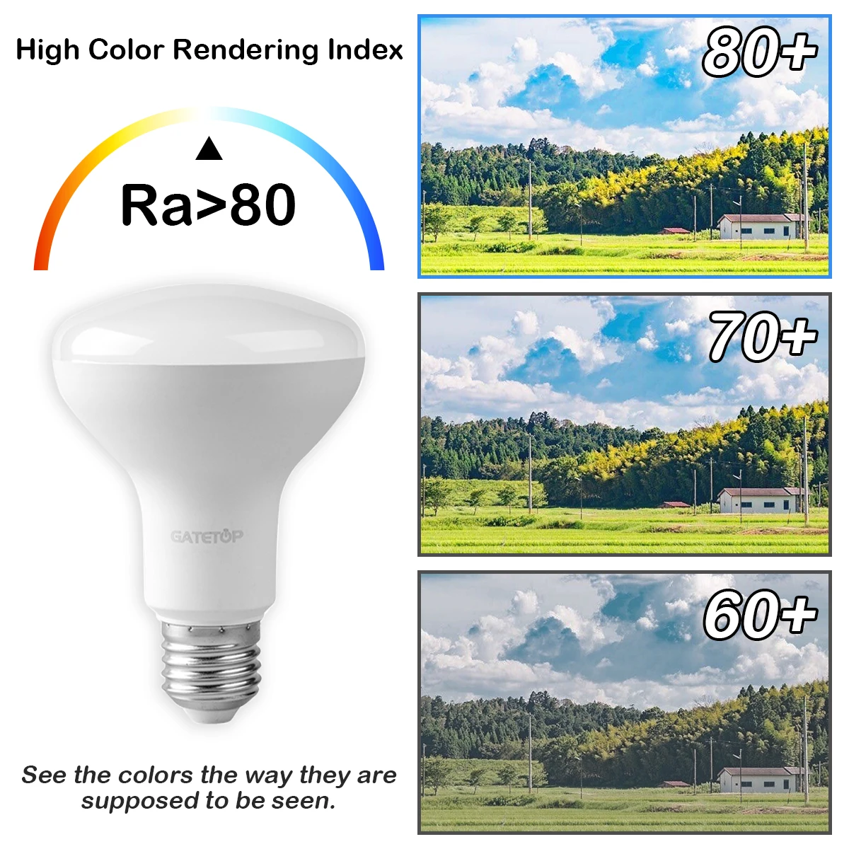 밝은 LED 전구 목욕 램프, 버섯 E27, E14, R50, R63, R80, AC 220V, 230V, 6W, 10W, 12W, 가정용 따뜻한 백색 조명, 10 개