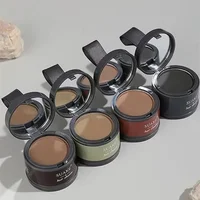 Poudre de ligne de cheveux 4 couleurs, couverture instantanée de racine noire et brune, réparation de peinture, remplissage de l'ombre de cheveux 4