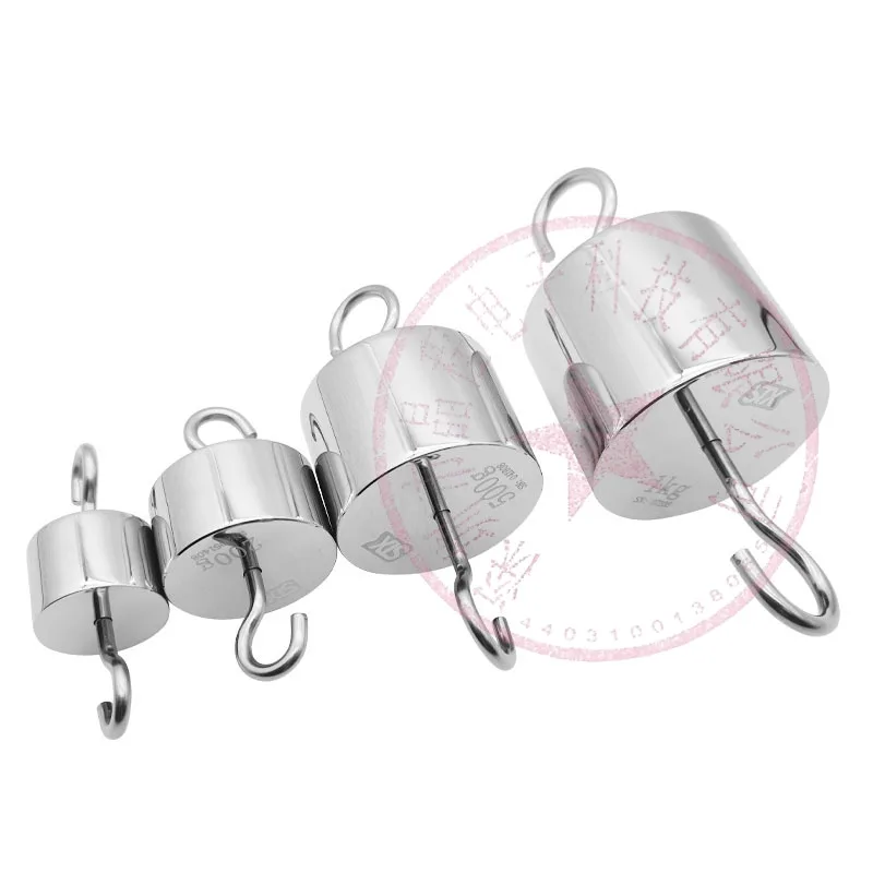 M1 Double Hook Weight 10g-2kg Standard Counterweight Newton Stainless Steel Tensile Test With Hook Weight