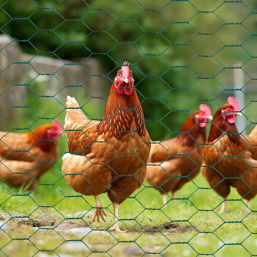 Chicken Wire 39.37x1200in Hexagonal Mesh Chicken Coop Rabbit Wire PVC-Coated Garden Poultry Netting Anti-Rust for Poultry Garden