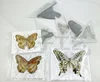 29 Carefully Selected Butterfly Specimens Real Butterfly Insect Teaching Specimens Wings Not Unfolded Home Decor Multiple Style 5