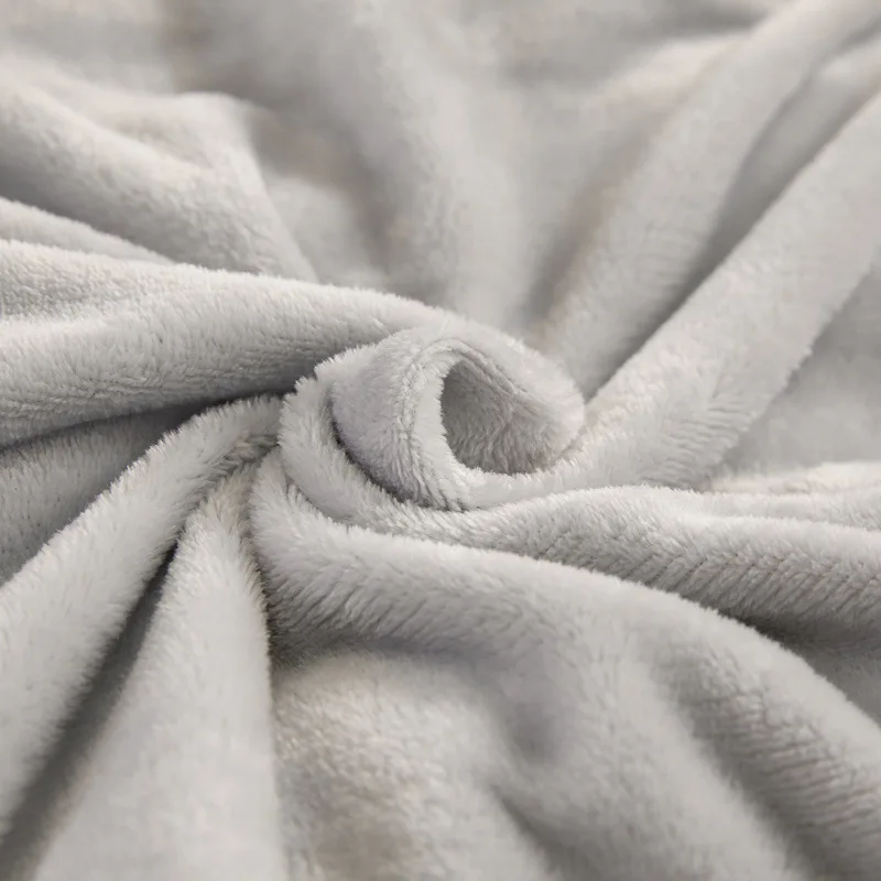 Winter Lamb Wool Quilt Quilt Core Single Double Student Autumn