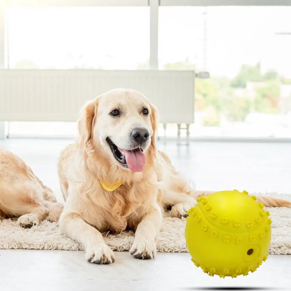 Dog Interactive Tennis Ball Dog Squeaky Toy Bite Resistant Teeth