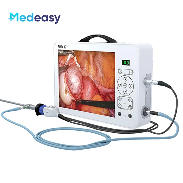 Fabrication de l'oreille rigide souple Transforaminal endoscopique Full HD  Portable Système de caméra de l'endoscope - Chine Calculateur de caméra de  l'endoscope System, système de caméra 4K de l'endoscope