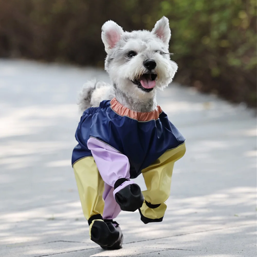 rain boots best boots for french bulldog