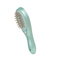 Micro Current Electric Massage Comb Hair Therapy Instrument Straight Hair Comb RF Personal Health Care Comb Electric Massager 1