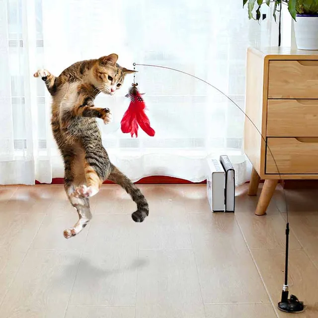 Funny Cat Toy Folorful Fluffy Feather With Bell Sucker Cat Stick Toy Kitten Play Interactive Detachable Teaser Wand Cat Supplies Funny Cat Toy Folorful Fluffy Feather With Bell Sucker Cat Stick Toy Kitten Play Interactive Detachable Teaser Wand Cat Supplies