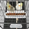 Metal 52" Large Rolling Bird Cage with 3 Perches and 4 Feeders, 5