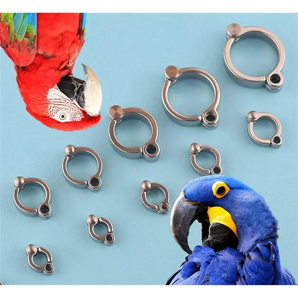 Metalen kanarie ringen 3 mm - de website in vogelringen