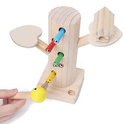 Ímãs pegar worms jogo sensorial brinquedo montessori materiais brinquedos educativos de madeira para crianças ímãs pesca pássaro alimentação brinquedo