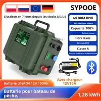 Batterie LiFePO4 12V 100Ah 200Ah 140Ah 24V LFP Portable USB PD 6000+ Cycles Bluetooth BMS pour Bateau Batterie Lithium 12.8V Stock UE 1